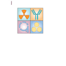 Berek and Hacker’s Gynecologic Oncology 7th Edicion 2021
