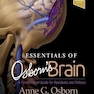 Essentials of Osborn