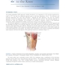 Master Techniques in Orthopedic Surgery: Knee Arthroplasty2019