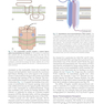 Medical Pharmacology and Therapeutics2022