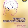 Perinatal Neuropathology