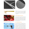 Microsurgery in Endodontics