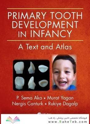 Primary Tooth Development in Infancy