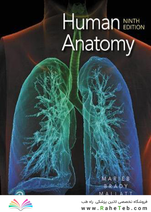 Human Anatomy2019