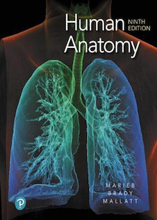 عکس Human Anatomy2019