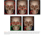Atlas of Cone Beam Computed Tomography 2022