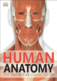 عکس Human Anatomy
