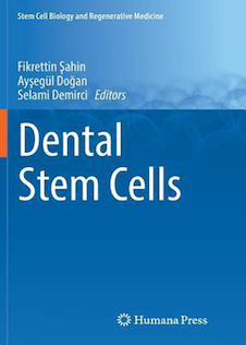 عکس Dental Stem Cells