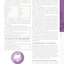 The Foundations of Chinese Medicine : A Comprehensive Text