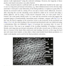 Rbfdps : Resin-Bonded Fixed Dental Prostheses: Minimally Invasive - Esthetic - Reliable