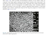 Rbfdps : Resin-Bonded Fixed Dental Prostheses: Minimally Invasive - Esthetic - Reliable