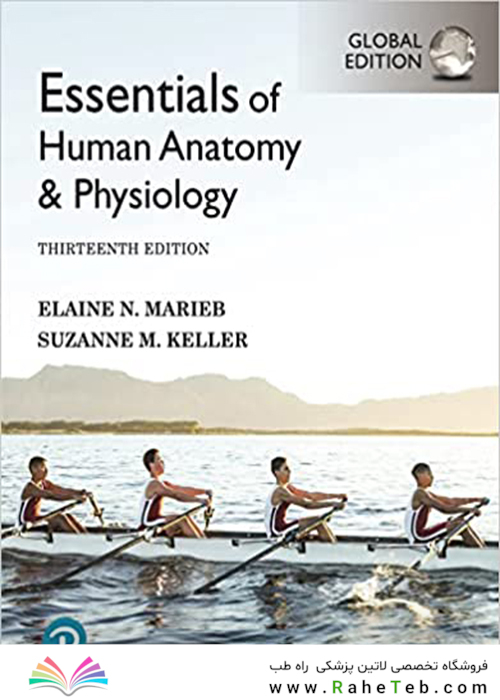 Essentials of Human Anatomy - Physiology [Global Edition] 13th Edición