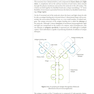 USMLE Step 1 Lecture Notes 2022: Immunology and Microbiology