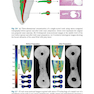 Shaping for Cleaning the Root Canals : A Clinical-Based Strategy 2022