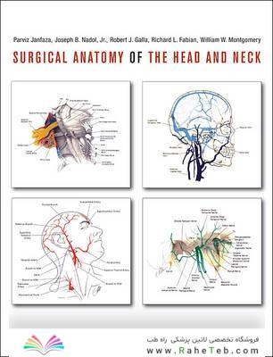 Surgical Anatomy of the Head and Neck