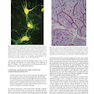 Textbook of Histology 5th Edicion