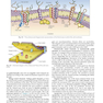 Textbook of Histology 5th Edicion
