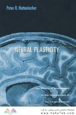 Neural Plasticity : The Effects of Environment on the Development of the Cerebral Cortex