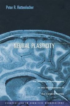 عکس Neural Plasticity : The Effects of Environment on the Development of the Cerebral Cortex