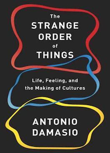 عکس The Strange Order of Things : Life, Feeling and the Making of Cultures