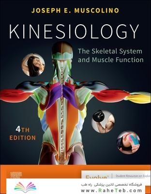 Kinesiology: The Skeletal System and Muscle Function 4th Edición