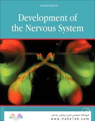 Development of the Nervous System 4th Edición