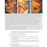 Facial Danger Zones: Staying safe with surgery, fillers, and non-invasive devices 1st Edition 2020