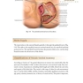 Female Cosmetic Genital Surgery: Concepts, classification and techniques 1st Edition 2017