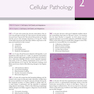 Robbins and Cotran Review of Pathology (Robbins Pathology) 5th Edicion