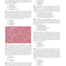 Robbins and Cotran Review of Pathology (Robbins Pathology) 5th Edicion