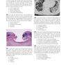 Robbins and Cotran Review of Pathology (Robbins Pathology) 5th Edicion