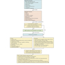 Critical Care Medicine: An Algorithmic Approach 1st Edicion