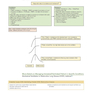 Critical Care Medicine: An Algorithmic Approach 1st Edicion