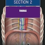 The Big Picture: Gross Anatomy, Medical Course & Step 1 Review, Second Edition