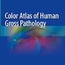 Color Atlas of Human Gross Pathology