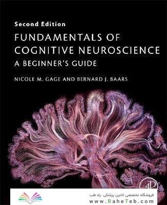 Fundamentals of Cognitive Neuroscience : A Beginner