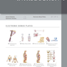 Netter Atlas of Human Anatomy: Classic Regional Approach: (Netter Basic Science) 8th Edition