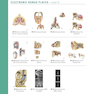 Netter Atlas of Human Anatomy: Classic Regional Approach: (Netter Basic Science) 8th Edition