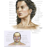Netter Atlas of Human Anatomy: Classic Regional Approach: (Netter Basic Science) 8th Edition