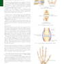 Bontrager’s Textbook of Radiographic Positioning and Related Anatomy, 9th Edition2017