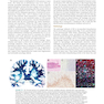 Merritt’s Neurology Fourteenth Edition