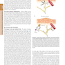 HARRISONS PRINCIPLES OF INTERNAL MEDICINE Part Cardinal Manifestations and Presentation Of Disease
