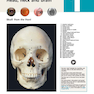 McMinn and Abrahams’ Clinical Atlas of Human Anatomy 8th Edition