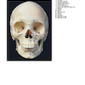 McMinn and Abrahams’ Clinical Atlas of Human Anatomy 8th Edition