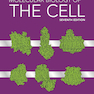 Molecular Biology of the Cell