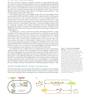 Molecular Biology of the Cell