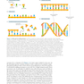 Molecular Biology of the Cell