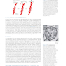 Molecular Biology of the Cell