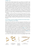 Molecular Biology of the Cell