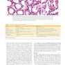 Robbins - Kumar Basic Pathology 11th Edicion